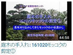 Youtubeリンク 有 木下庭園管理のサブ サイト