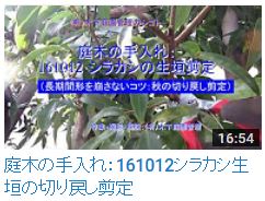 Youtubeリンク 有 木下庭園管理のサブ サイト