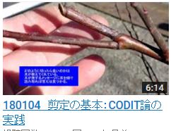 No.034 CODIT論実践